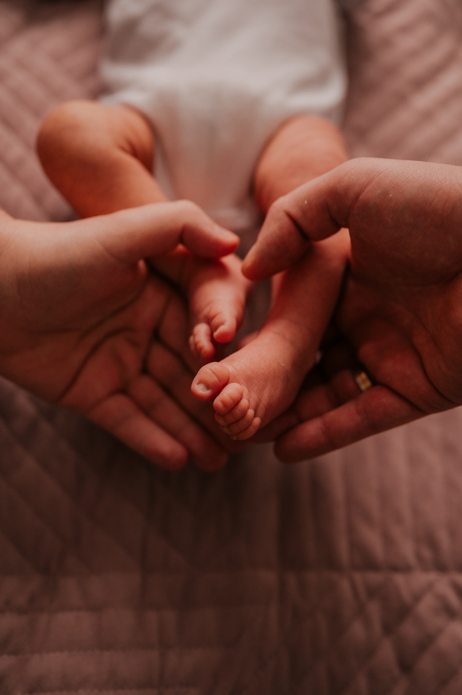 naturalna_fotografia_wroclaw